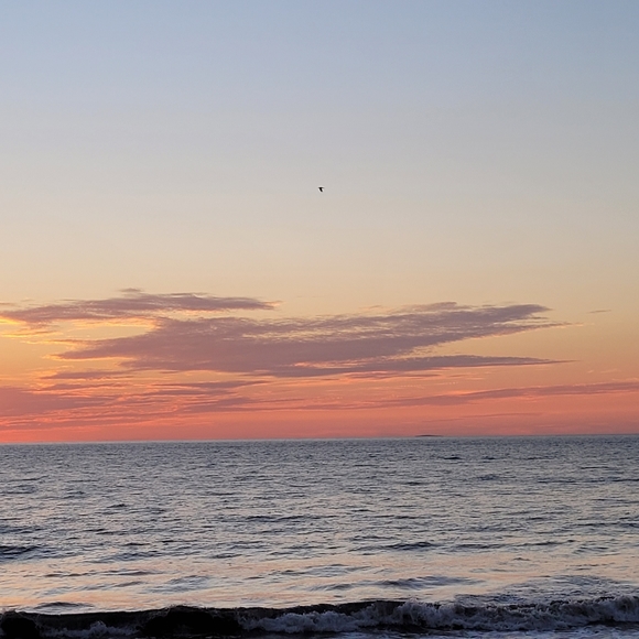 Meet your Posher, Chris - Picture 1 of 1